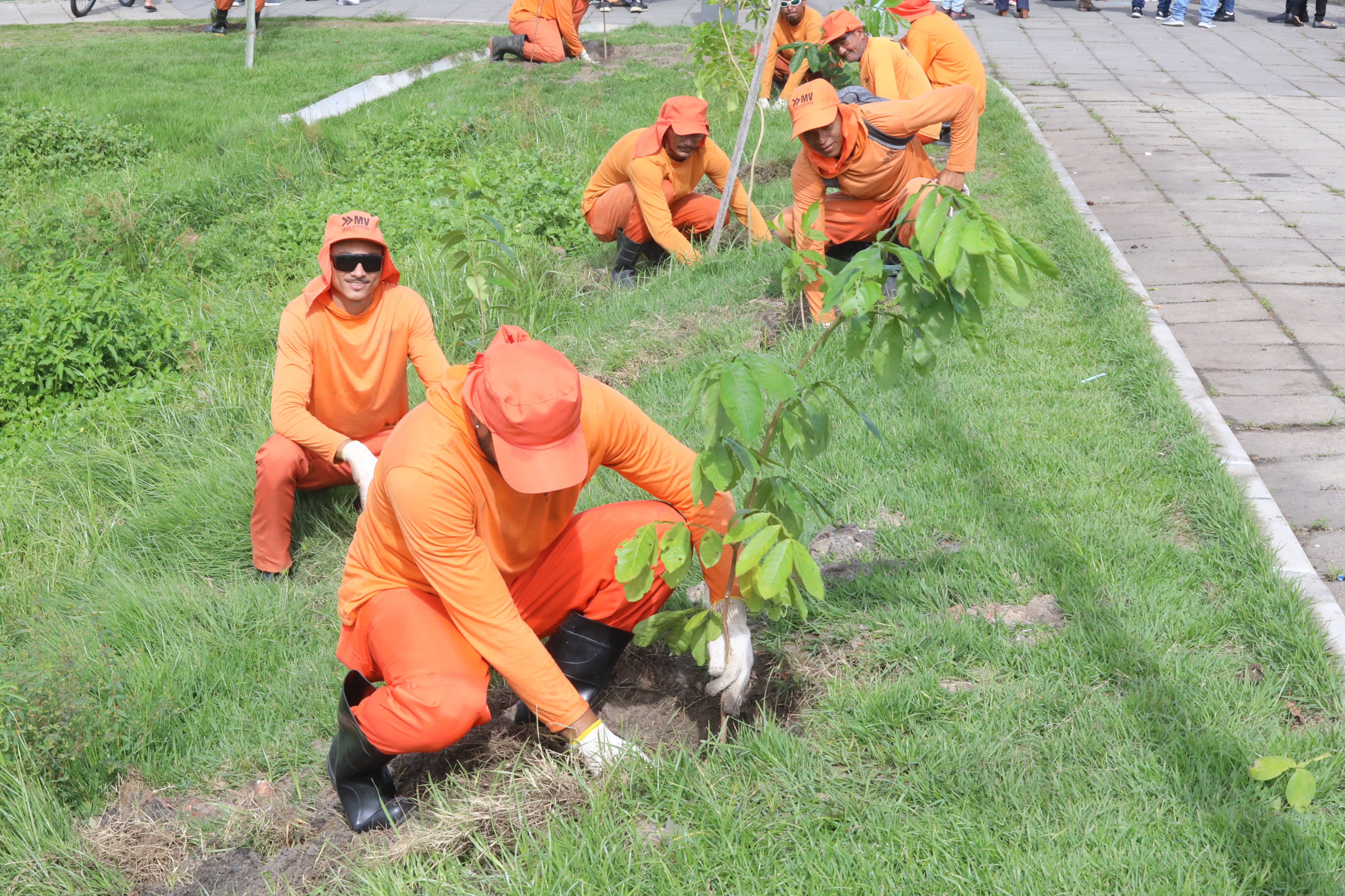 homem plantando muda